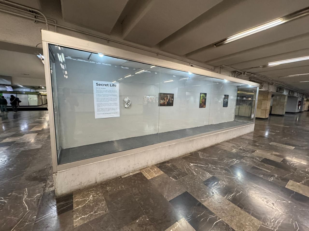 WhatsApp Image 2025-11-25 at 11.26.41 AM.jpeg