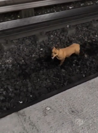 WhatsApp Image 2025-11-28 at 9.42.32 AM.jpeg