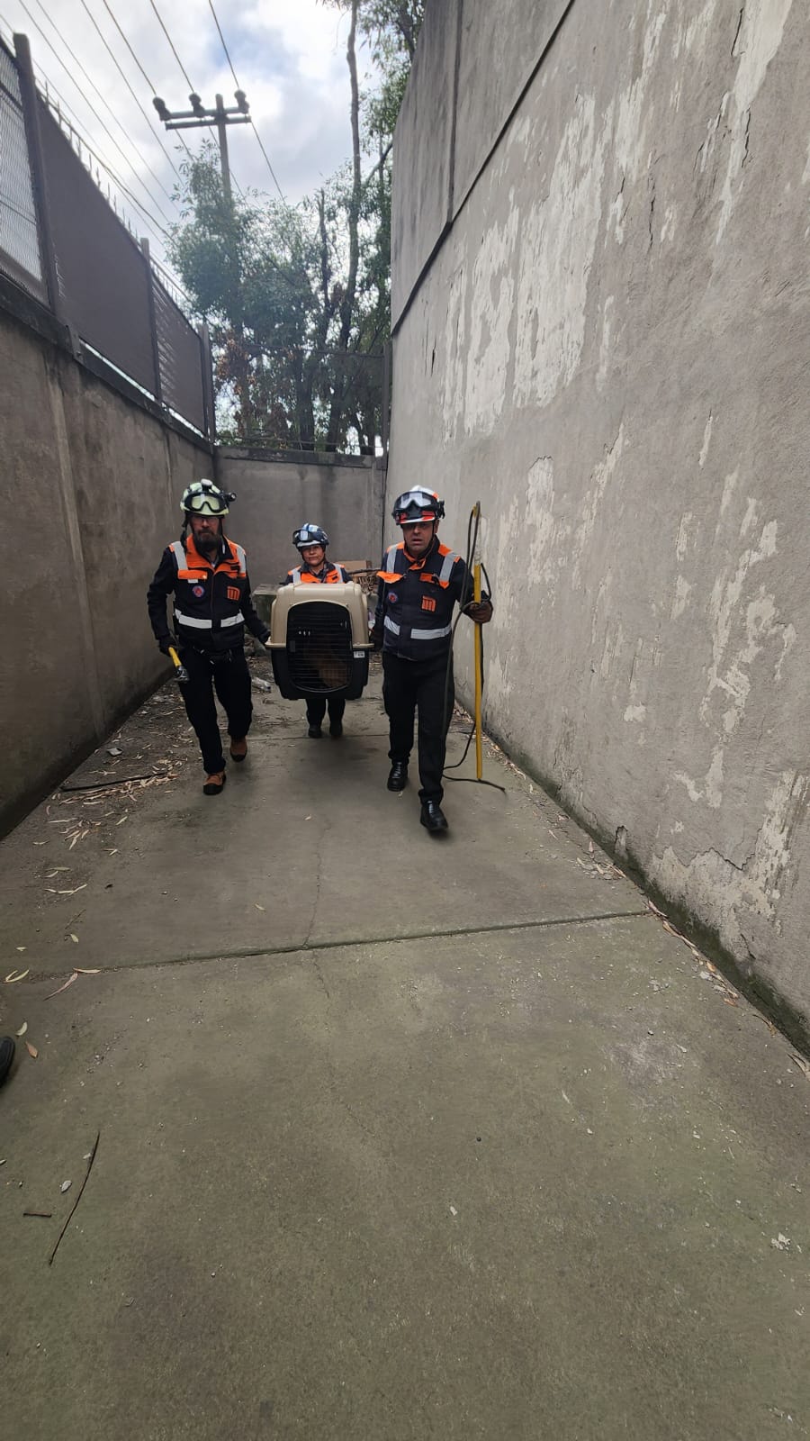 WhatsApp Image 2025-11-28 at 9.42.32 AM (1).jpeg