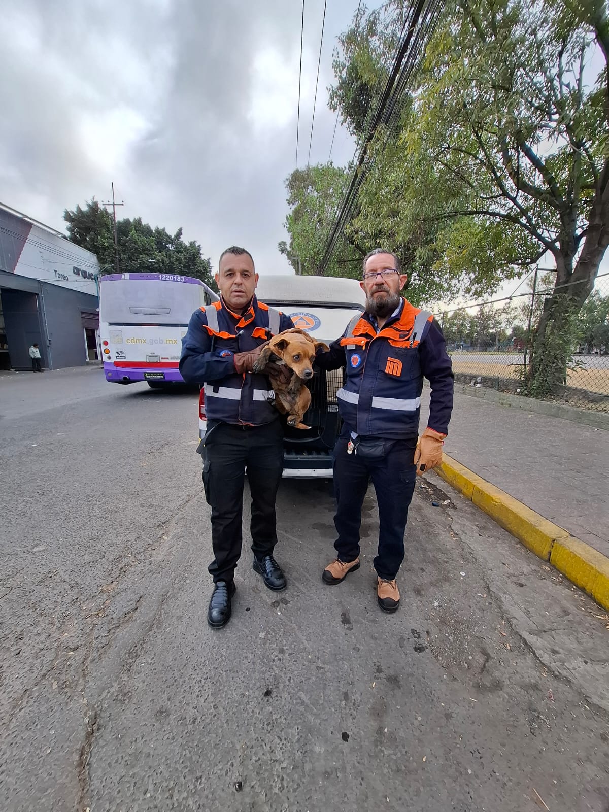 WhatsApp Image 2025-11-28 at 9.42.33 AM.jpeg